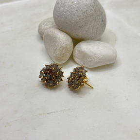 Laro Labradorite 18k Gold Plated Silver 925 Earrings