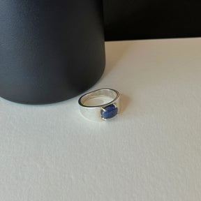 Dale Sapphire Men's Silver 925 Ring