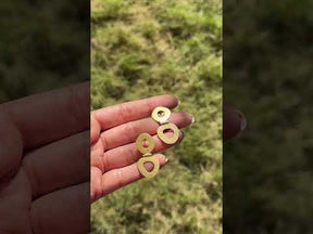 Ryan Gold Plated Silver 925 Earrings