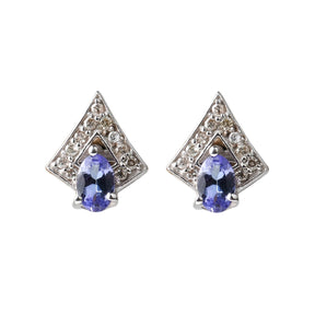 Eccentric Tanzanite Silver 925 Earrings