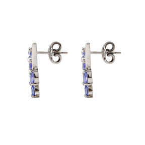 Bewitching Tanzanite and Diamond Silver 925 Earrings